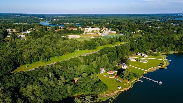 73 Spur Rd, Dover, NH 03820 - view of property location with a forest and a nearby body of water