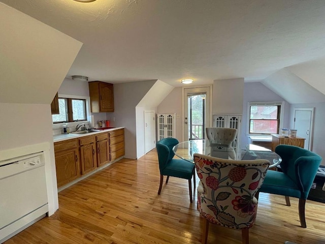 bonus room featuring a sink, light wood-style flooring, and lofted ceiling