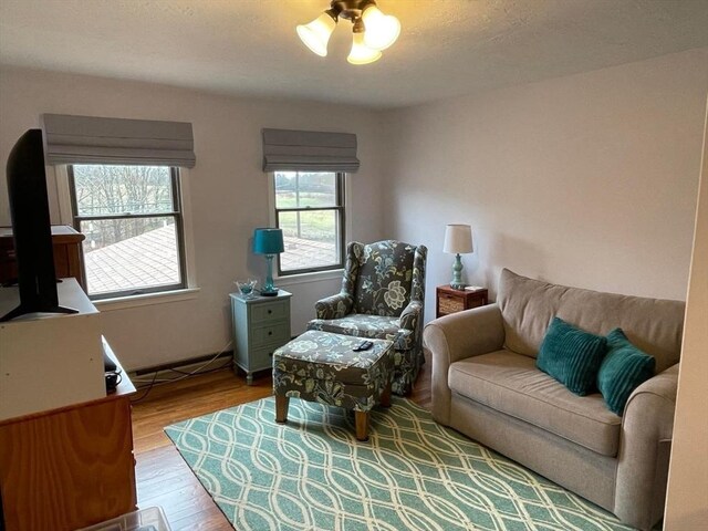 living area with wood finished floors