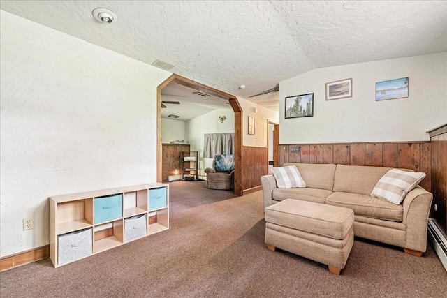 9 Oak Hill Rd, Mendon, MA 01756 - carpeted living area with a textured ceiling, wainscoting, vaulted ceiling, wood walls, and arched walkways