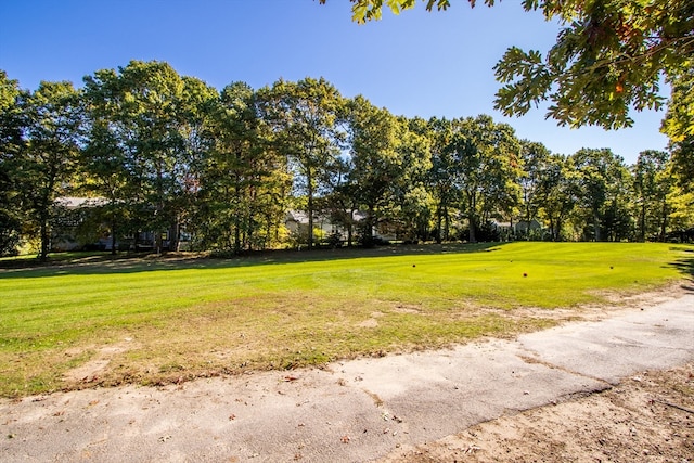 view of community with a yard