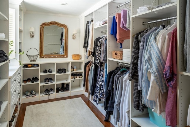 walk in closet featuring dark hardwood / wood-style floors