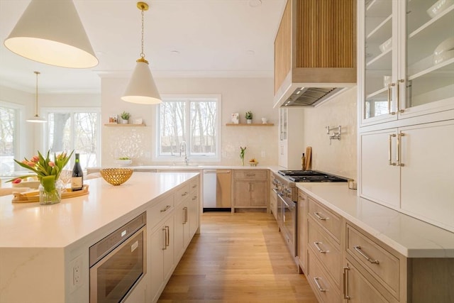 234 Valley Rd, Needham, MA 02492 - kitchen featuring light wood-type flooring, stainless steel appliances, open shelves, and ornamental molding