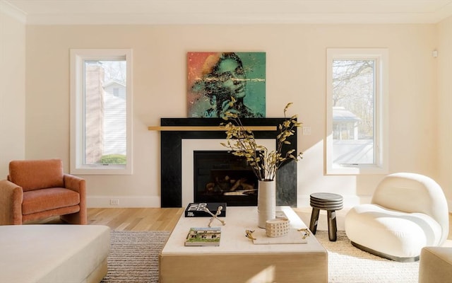 234 Valley Rd, Needham, MA 02492 - living area featuring wood finished floors, a wealth of natural light, ornamental molding, and a fireplace