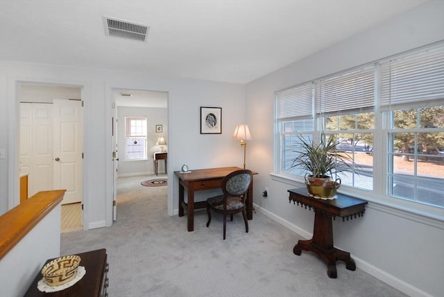 carpeted home office featuring a wealth of natural light