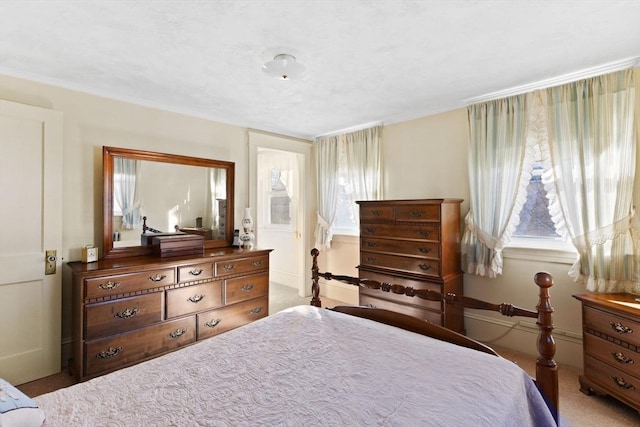 bedroom featuring carpet and multiple windows