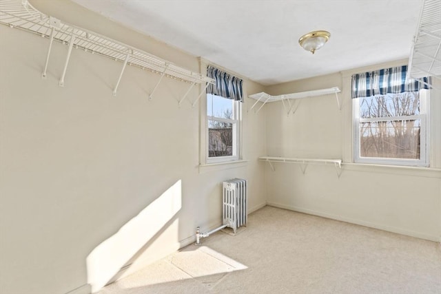 spacious closet featuring carpet and radiator