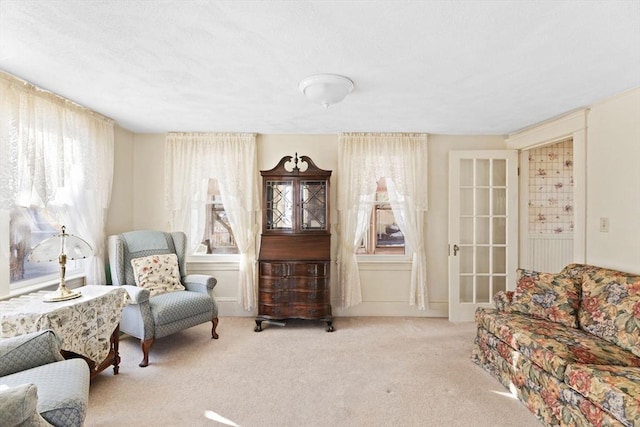 sitting room featuring carpet