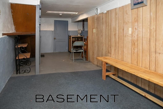 basement featuring wooden walls