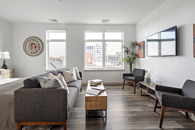 living room featuring dark hardwood / wood-style flooring and a wealth of natural light