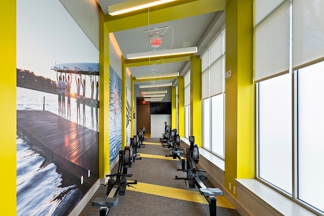 workout area with carpet flooring