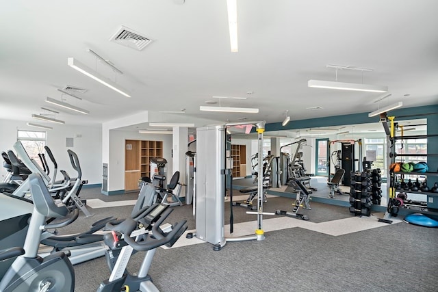 workout area featuring carpet and a healthy amount of sunlight