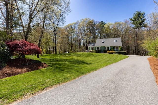 view of road with driveway