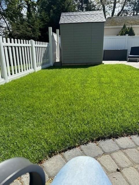 view of yard with a shed, an outdoor structure, and a fenced backyard