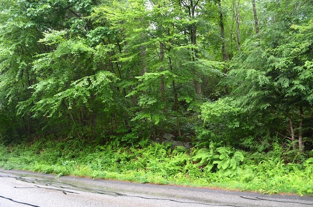 Listing photo 2 for LOT3 Monson Turnpike Rd, Ware MA 01082