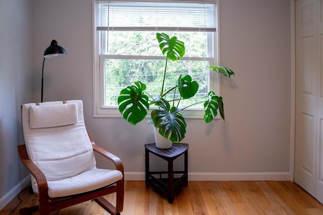 62 Roberts Dr Unit 62, Bedford, MA 01730 - living area featuring baseboards and light wood-style flooring