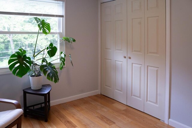 62 Roberts Dr Unit 62, Bedford, MA 01730 - living area featuring baseboards and light wood-type flooring