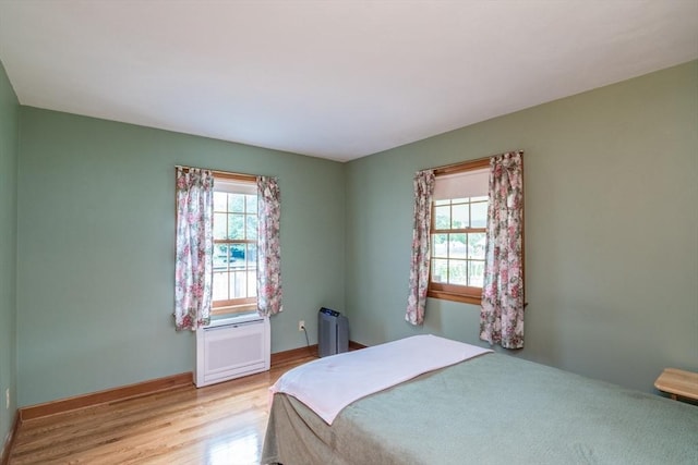 5 Norman Cir, Montague, MA 01376 - bedroom with light wood-style flooring and radiator