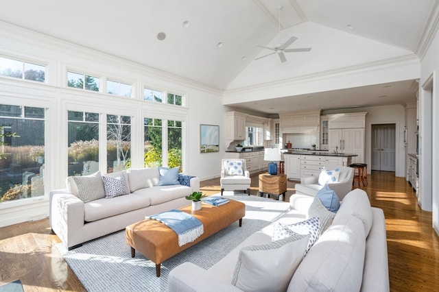 interior space with wood-type flooring, high vaulted ceiling, ceiling fan, and crown molding