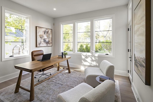 office with baseboards, plenty of natural light, and wood finished floors