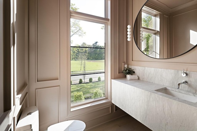 bathroom with toilet, ornamental molding, and a sink