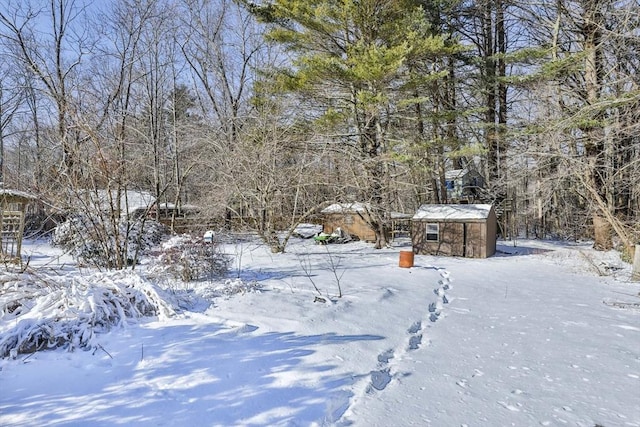 view of snowy yard