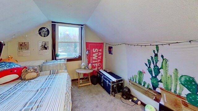 734 Main St, Amherst, MA 01002 - bedroom with lofted ceiling and carpet