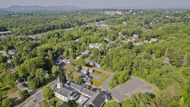 734 Main St, Amherst, MA 01002 - view of property location featuring a heavily wooded area