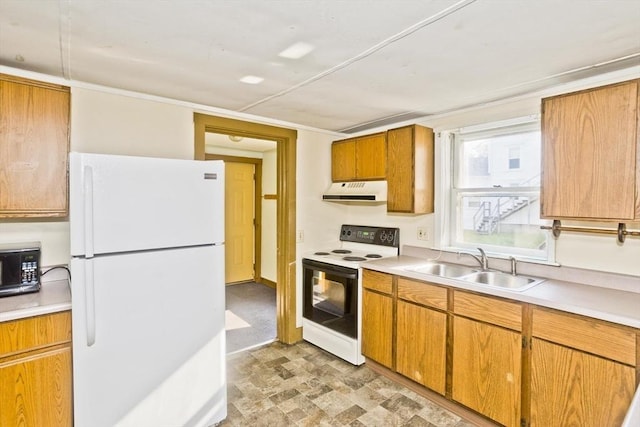 734 Main St, Amherst, MA 01002 - kitchen with freestanding refrigerator, range with electric stovetop, a sink, ventilation hood, and light countertops