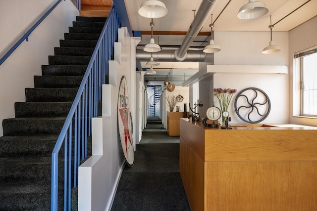 543 Green St, Cambridge, MA 02139 - stairway with carpet