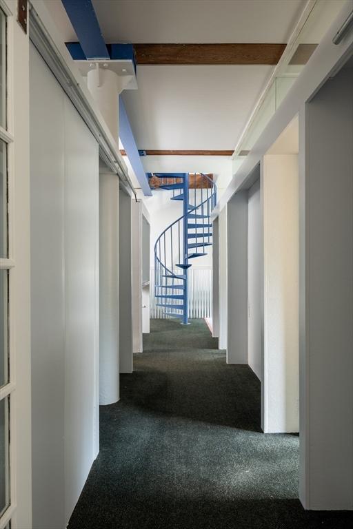 543 Green St, Cambridge, MA 02139 - hall featuring carpet flooring and stairway