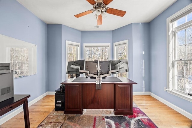 office featuring ceiling fan and light wood-type flooring