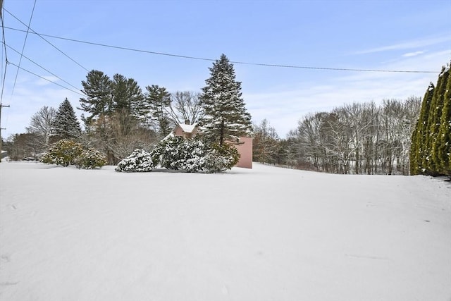 view of yard covered in snow