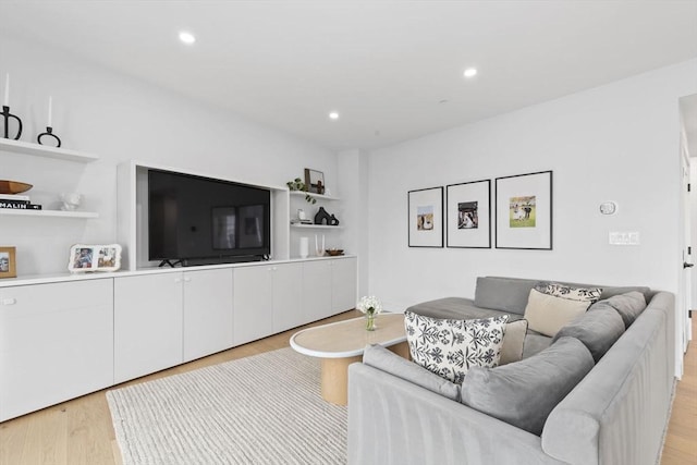 4 Payne St One, Unit One, Boston, MA 02122 - living room featuring light wood finished floors and recessed lighting