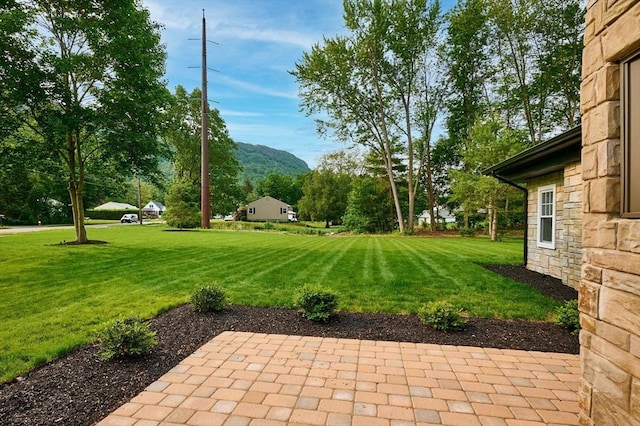 116 Holyoke St, Easthampton, MA 01027 - view of grassy yard featuring a patio and a mountain view