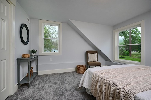 116 Holyoke St, Easthampton, MA 01027 - bedroom with carpet flooring