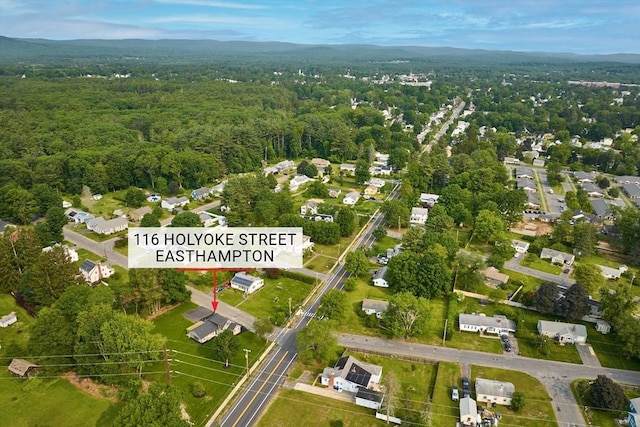 116 Holyoke St, Easthampton, MA 01027 - aerial view of property and surrounding area with a forest and nearby suburban area