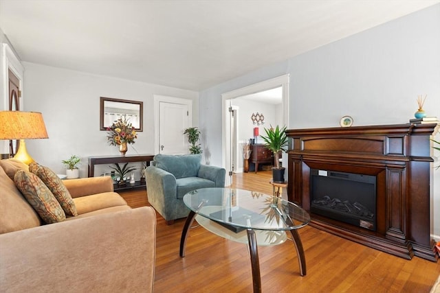 living area with a fireplace and light wood finished floors