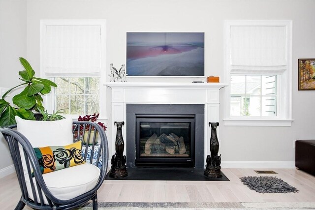 34 Split Rock Ln, Mattapoisett, MA 02739 - detailed view of a fireplace with flush hearth, baseboards, and wood finished floors