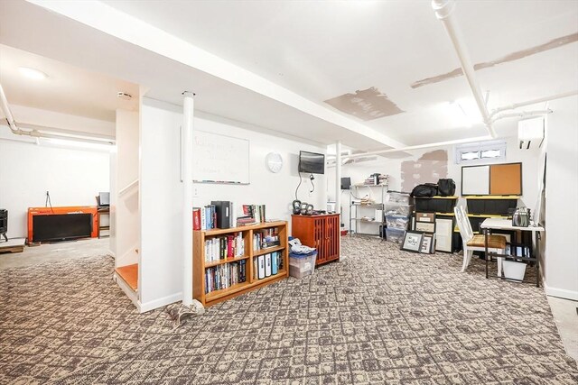 basement featuring carpet