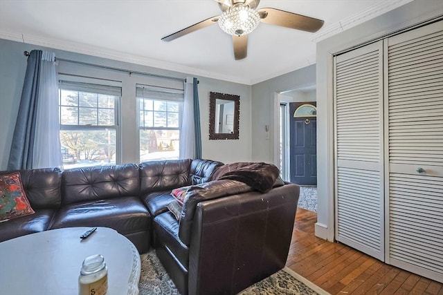 living room featuring ceiling fan, wood-type flooring, and ornamental molding