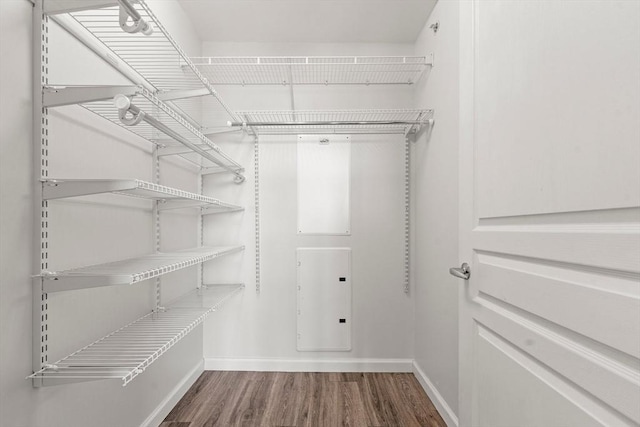 spacious closet featuring wood finished floors
