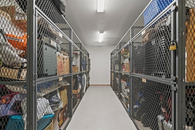 storage area featuring an exterior structure