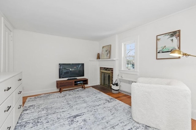 living room featuring a fireplace, radiator, and hardwood / wood-style floors