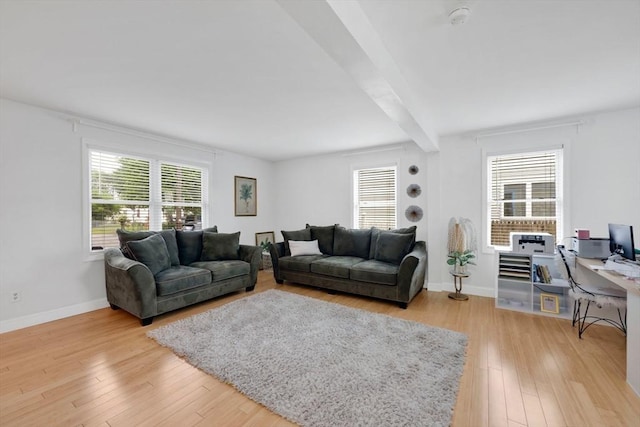 45 Olney Ave, Springfield, MA 01119 - living room with light wood-type flooring and beam ceiling