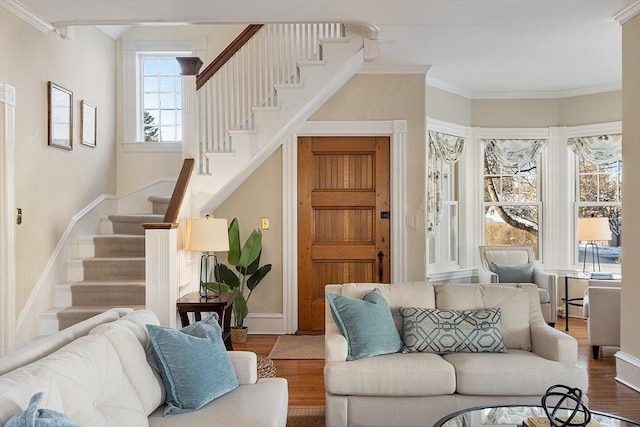 living room featuring hardwood / wood-style floors and ornamental molding