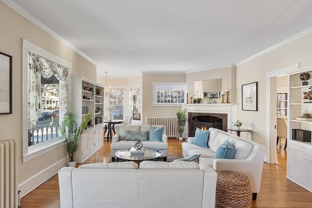 living room with hardwood / wood-style flooring, a wealth of natural light, radiator, and a fireplace