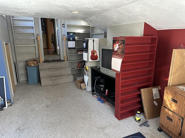 basement with light carpet and a textured ceiling