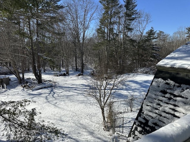 view of yard covered in snow