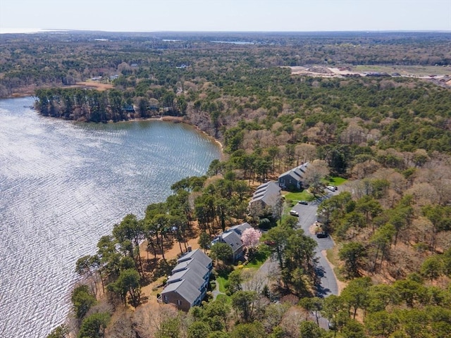 1 Calico Cir Unit 1, Dennis, MA 02639 - aerial view with a water view and a wooded view